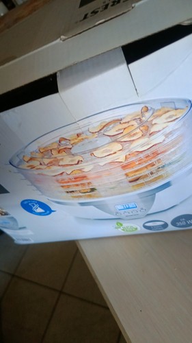 Essicatore elettrico alimenti - essicatore,