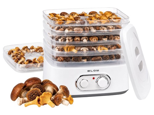 Essiccatore per funghi a - 😍,